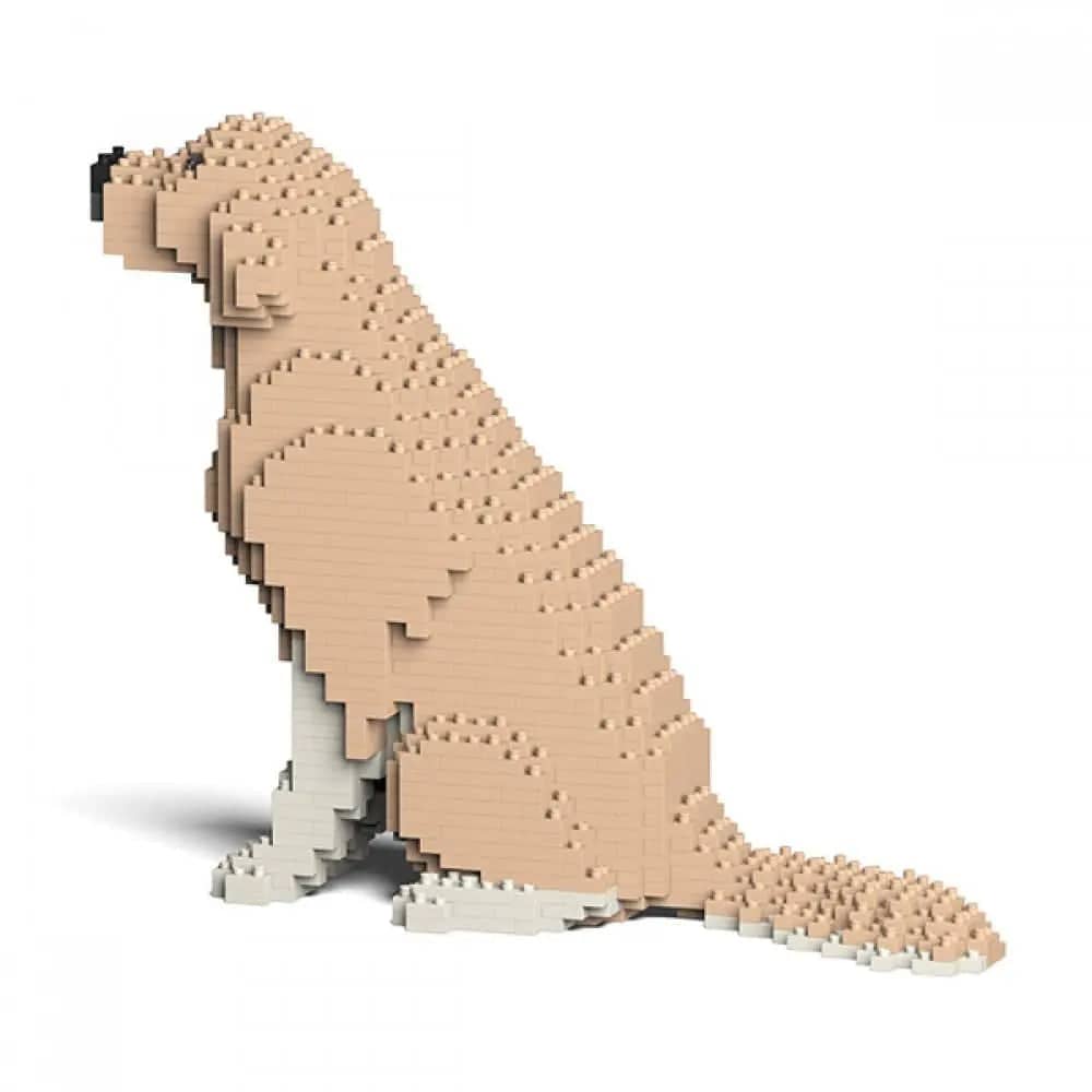 large-yellowandwhite-sitting