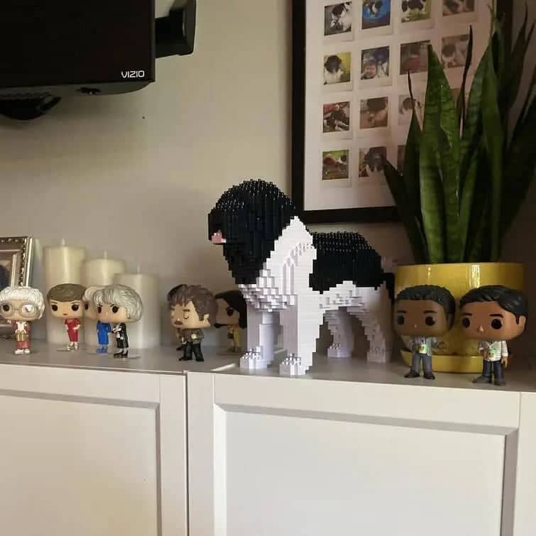 normal-whiteandblack