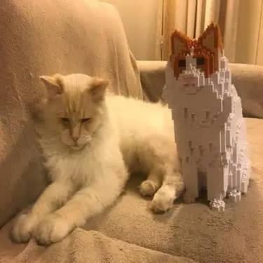 Ragdoll Cat Building Kit Interlocking Blocks Pet Building Kit