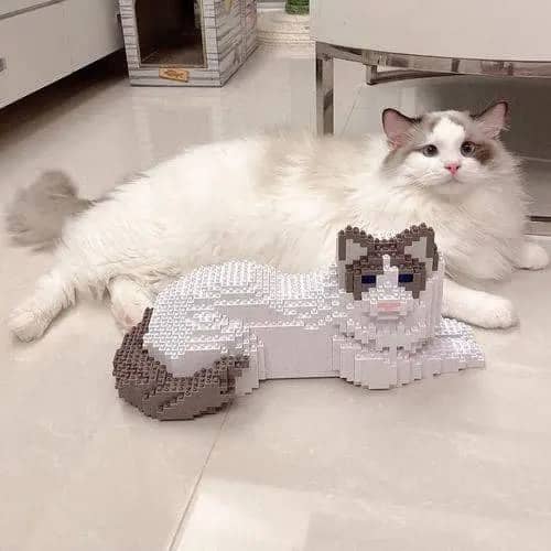 Ragdoll Cat Building Kit Interlocking Blocks Pet Building Kit