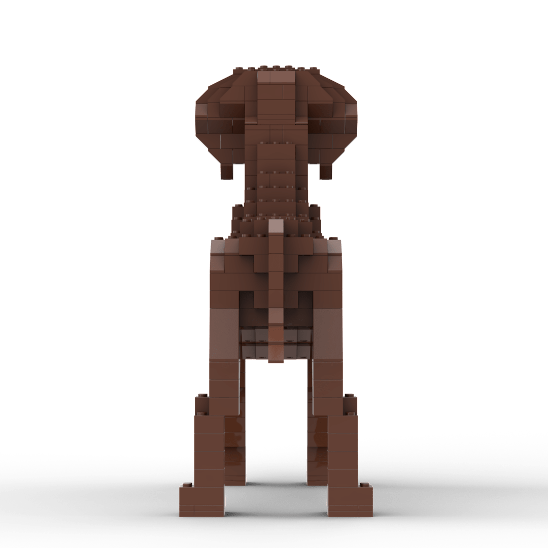 Rhodesian Ridgeback Building Kit Interlocking Blocks Pet Building Kit