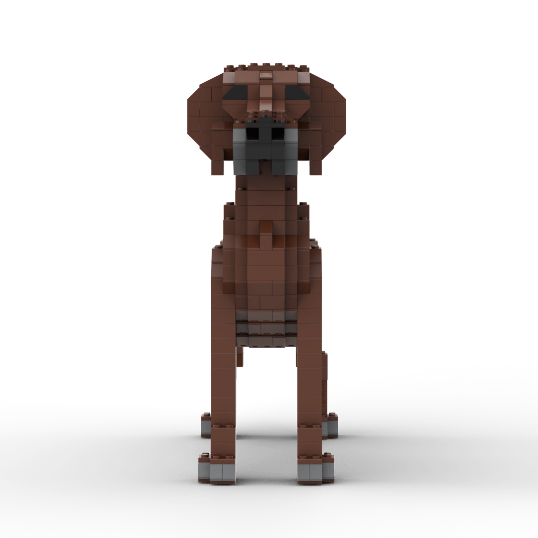 Rhodesian Ridgeback Building Kit Interlocking Blocks Pet Building Kit