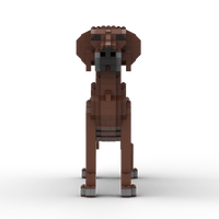 Rhodesian Ridgeback Building Kit Interlocking Blocks Pet Building Kit