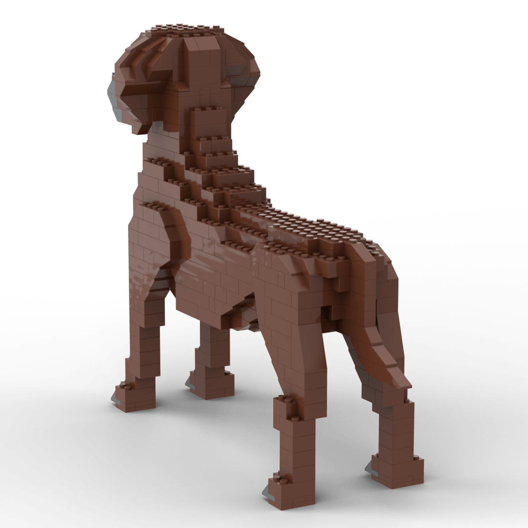 Rhodesian Ridgeback Building Kit Interlocking Blocks Pet Building Kit