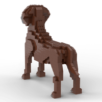 Rhodesian Ridgeback Building Kit Interlocking Blocks Pet Building Kit