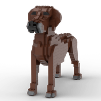 Rhodesian Ridgeback Building Kit Interlocking Blocks Pet Building Kit