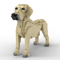 Rhodesian Ridgeback Building Kit Interlocking Blocks Pet Building Kit