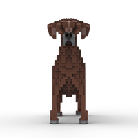 Rhodesian Ridgeback Building Kit Interlocking Blocks Pet Building Kit