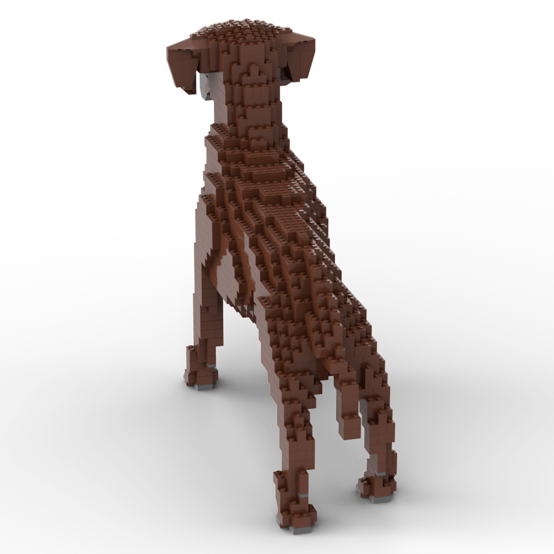 Rhodesian Ridgeback Building Kit Interlocking Blocks Pet Building Kit
