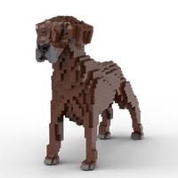 Rhodesian Ridgeback Building Kit Interlocking Blocks Pet Building Kit