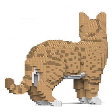 Australian Mist Cat Building Kit Interlocking Blocks Pet Building Kit