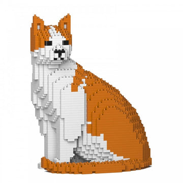 Gato naranja y blanco