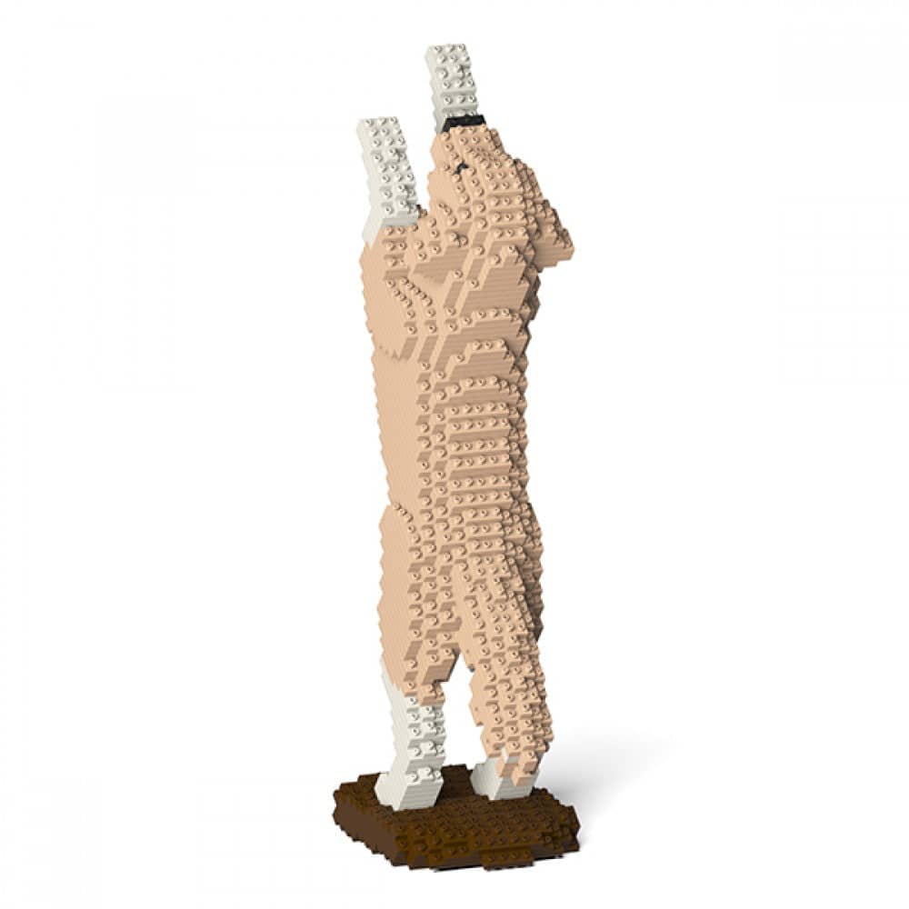 large-yellowandwhite-tricks