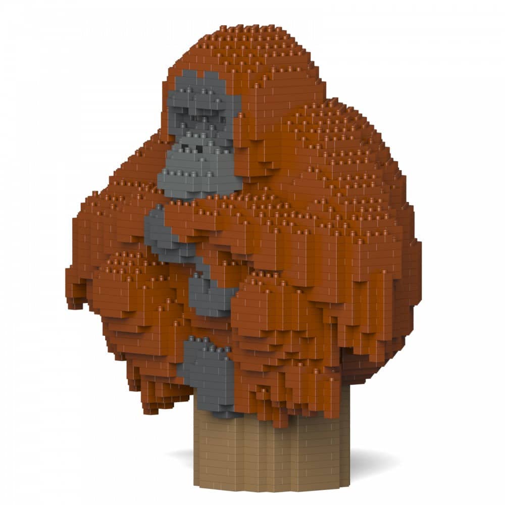 Orangután