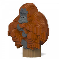Orangután