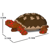 Tortuga de patas rojas