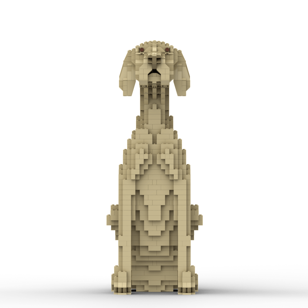 Vizsla Building Kit Interlocking Blocks Pet Building Kit