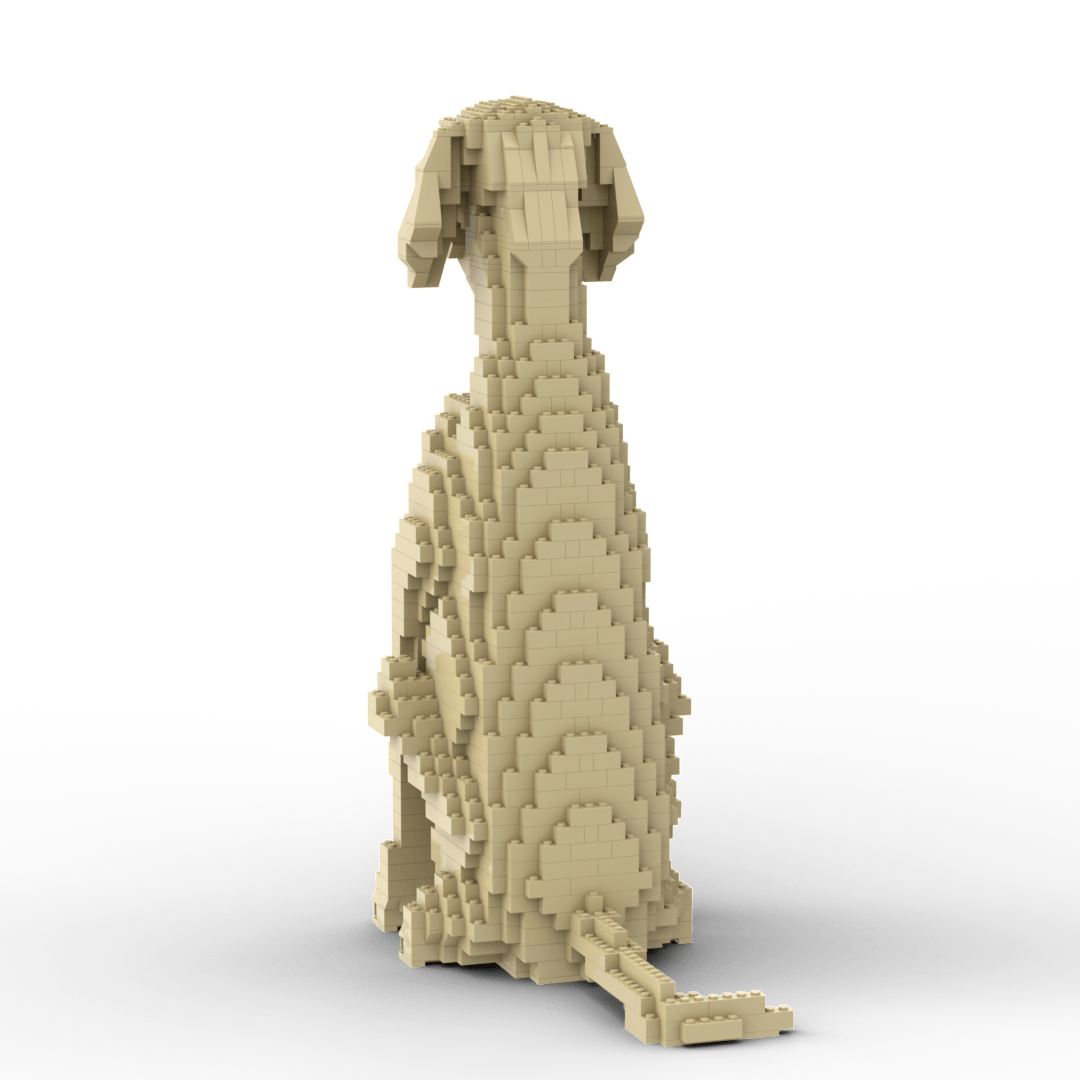 Vizsla Building Kit Interlocking Blocks Pet Building Kit