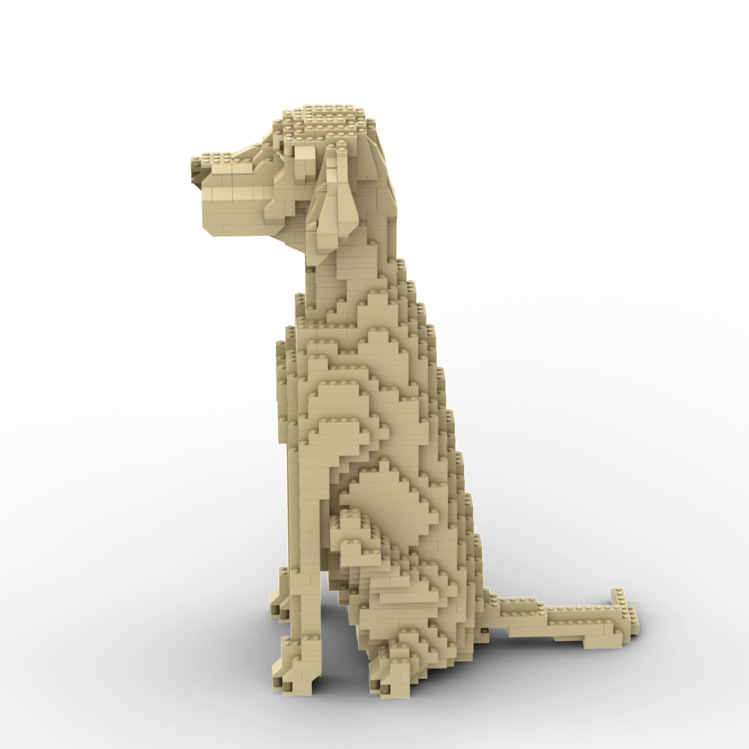 Vizsla Building Kit Interlocking Blocks Pet Building Kit