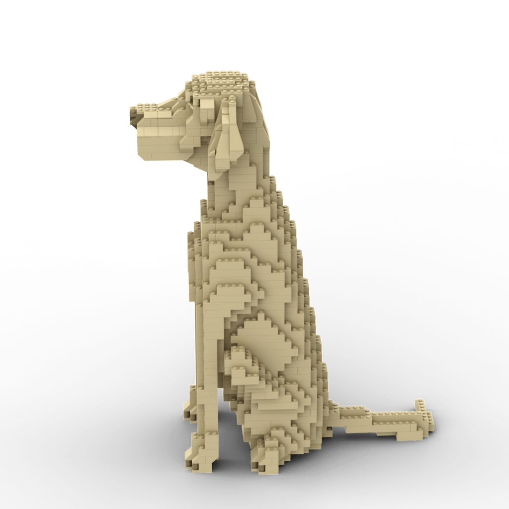 Vizsla Building Kit Interlocking Blocks Pet Building Kit