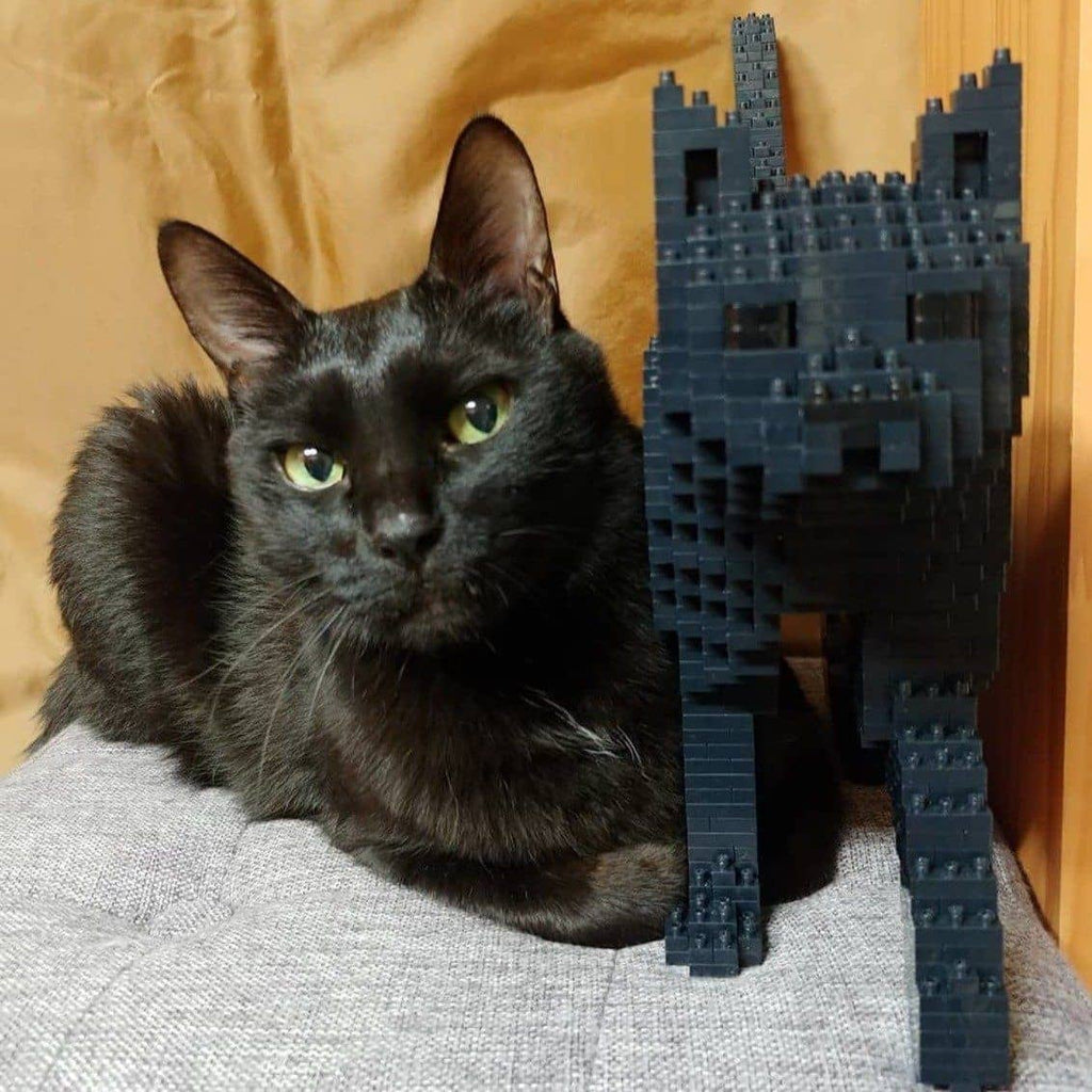 Black Cat Building Kit Interlocking Blocks Pet Building Kit