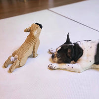 stretching-normal-tan