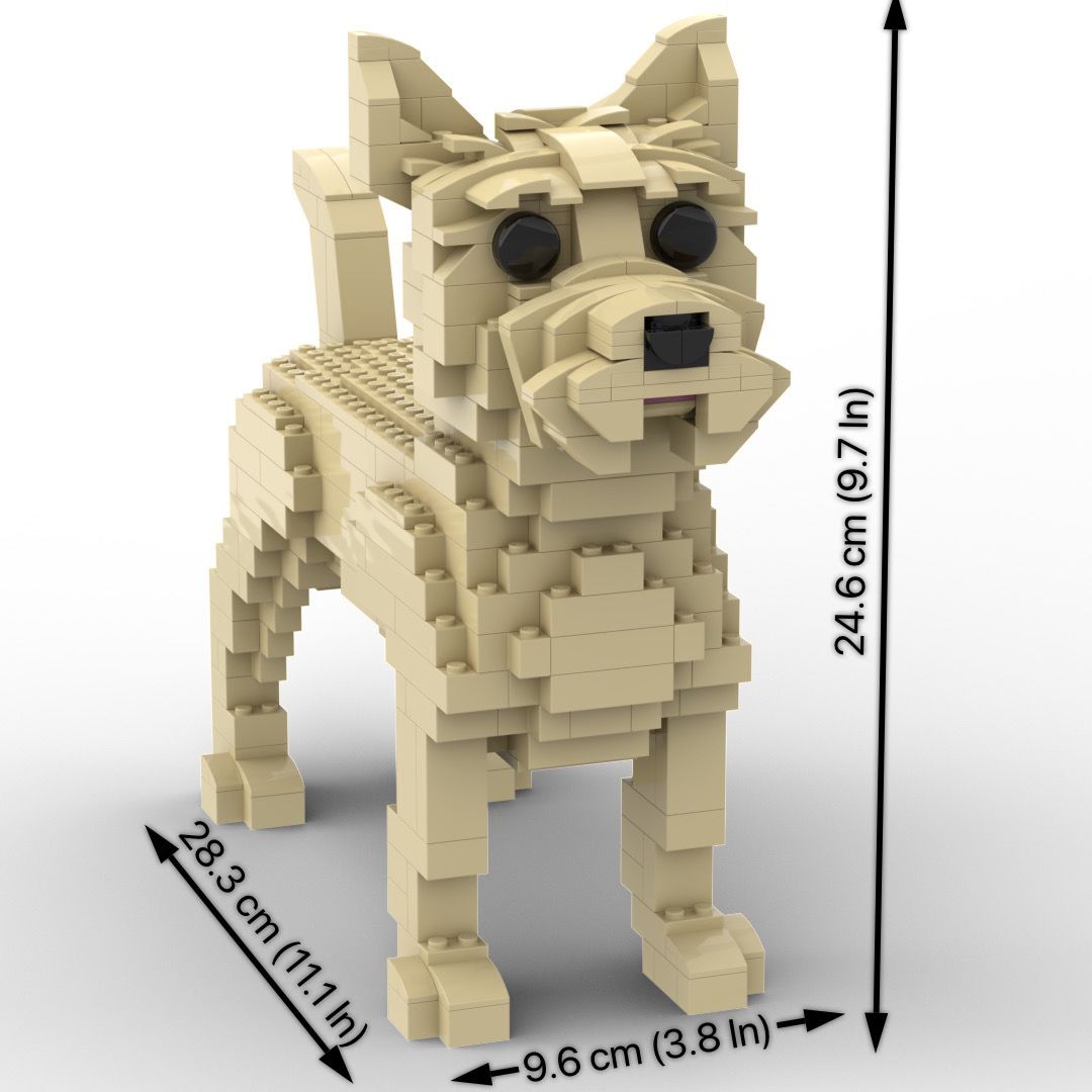 Cairn Terrier