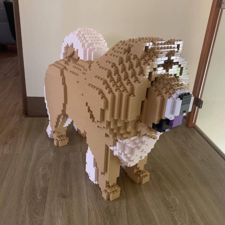Chow Chow Toy Building Blocks l Different Than LEGOs Build Em Pets