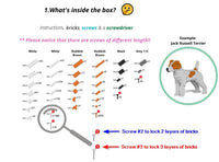 Gato de esmoquin gris