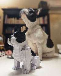 sitting-normal-white