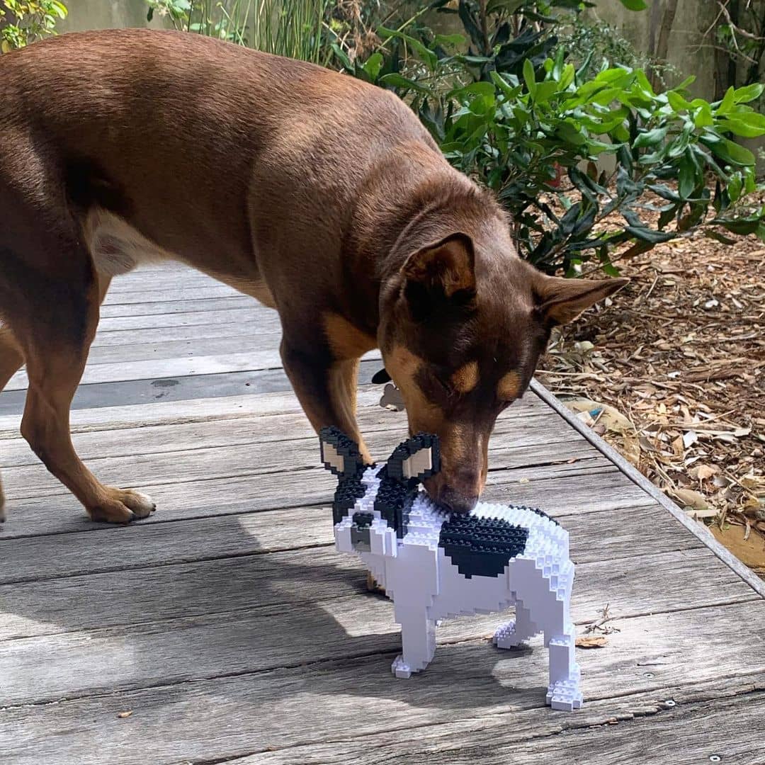 looking-normal-white