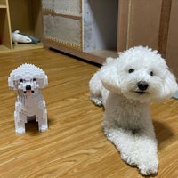 normal-white-sitting