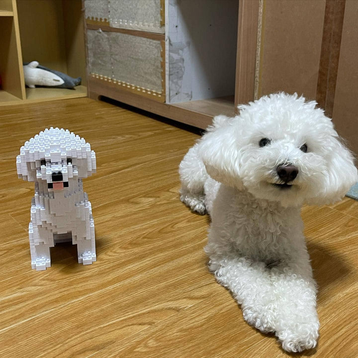 normal-white-sitting