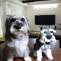 large-saltandpepper-sitting