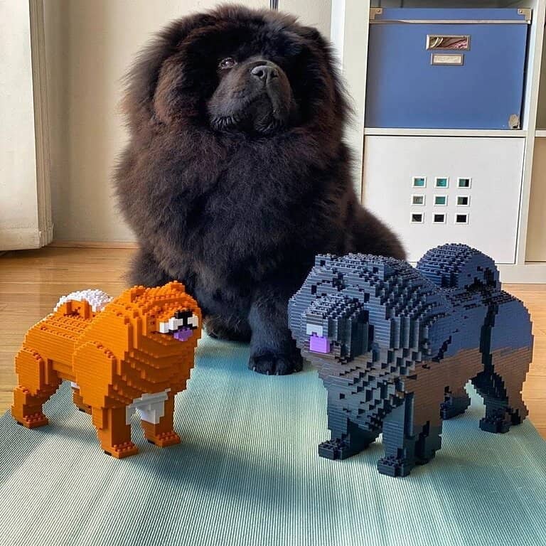 Chow chow lego 2025